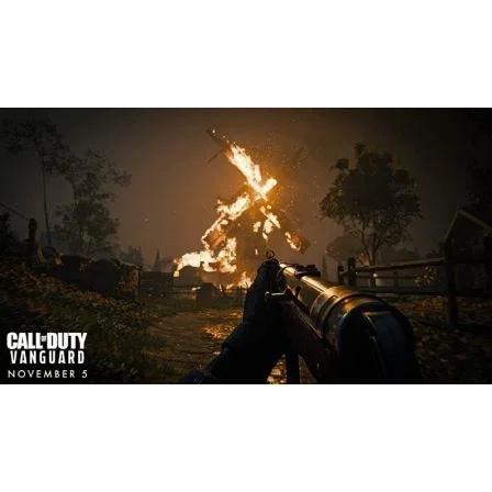 Activision Blizzard Call of Duty: Vanguard para Sony PS4
